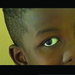 Sogni d'Africa