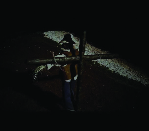 The scarecrow