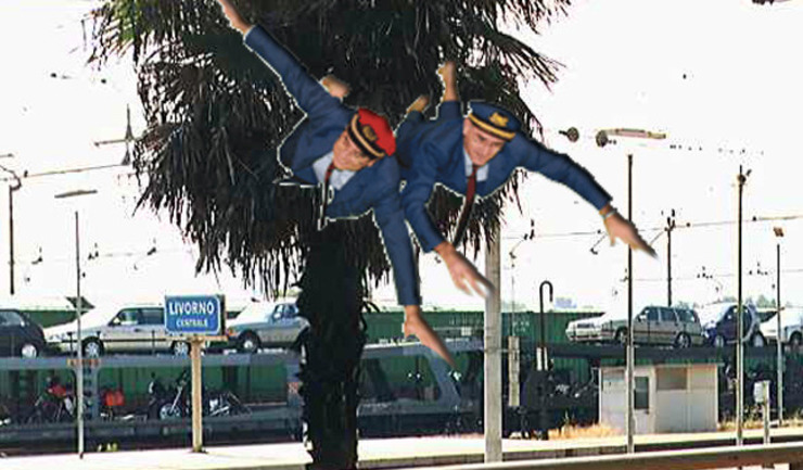 Volo