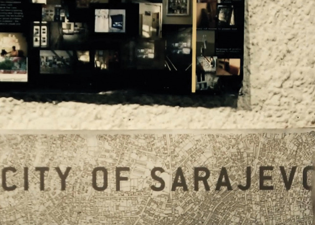 Sarajevolution
