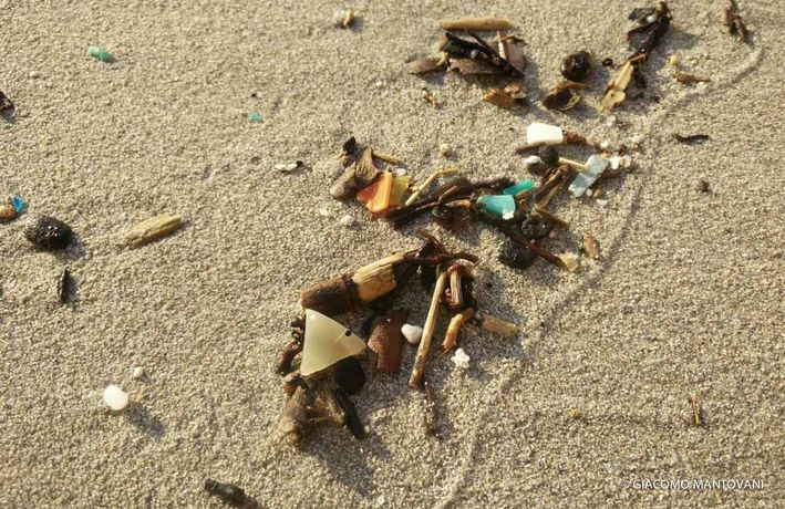 Plastic Garbage - Scourge of the Seas