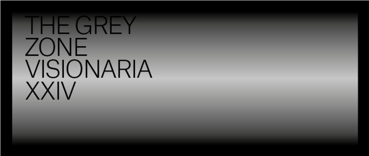 Visionaria 24 - 2017