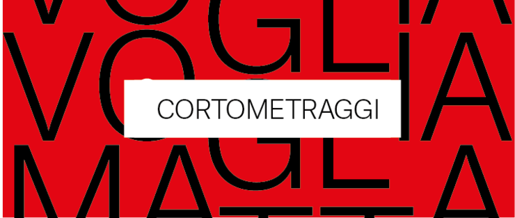 FuoriFuoco 2017 - I cortometraggi