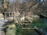 Visioni in movimento - Programma